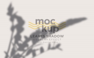 Leaves Shadow Overlay Effect Mockup 200