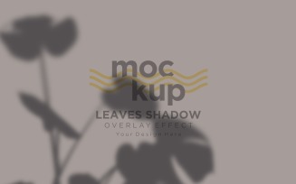 Leaves Shadow Overlay Effect Mockup 202