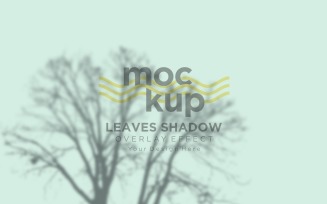 Leaves Shadow Overlay Effect Mockup 205