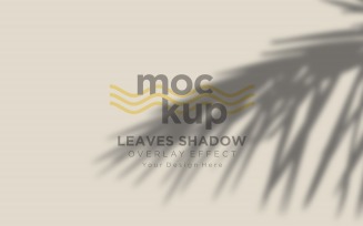 Leaves Shadow Overlay Effect Mockup 206