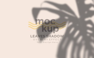 Leaves Shadow Overlay Effect Mockup 209
