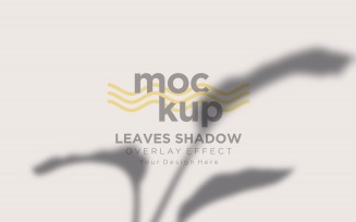 Leaves Shadow Overlay Effect Mockup 210