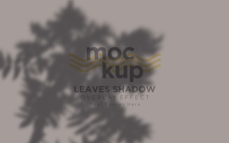 Leaves Shadow Overlay Effect Mockup 212