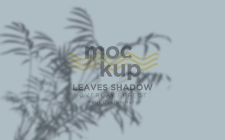 Leaves Shadow Overlay Effect Mockup 214