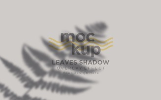 Leaves Shadow Overlay Effect Mockup 217