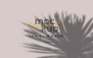 Leaves Shadow Overlay Effect Mockup 221