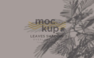 Leaves Shadow Overlay Effect Mockup 222