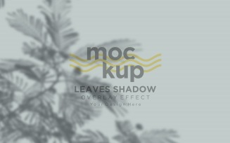 Leaves Shadow Overlay Effect Mockup 223