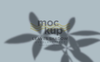 Leaves Shadow Overlay Effect Mockup 224