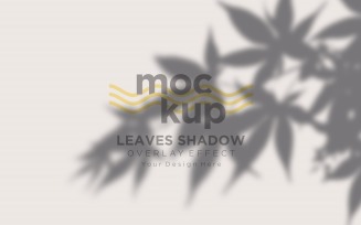 Leaves Shadow Overlay Effect Mockup 230