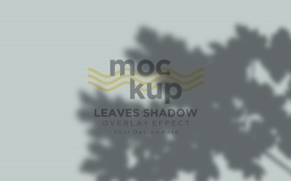 Leaves Shadow Overlay Effect Mockup 233