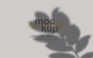 Leaves Shadow Overlay Effect Mockup 237