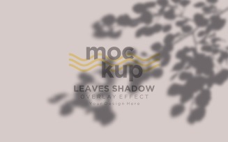 Leaves Shadow Overlay Effect Mockup 241