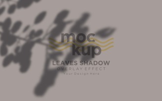 Leaves Shadow Overlay Effect Mockup 242