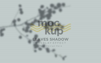 Leaves Shadow Overlay Effect Mockup 243