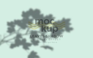 Leaves Shadow Overlay Effect Mockup 245