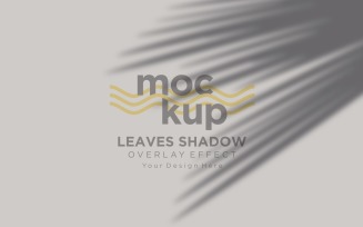 Leaves Shadow Overlay Effect Mockup 247