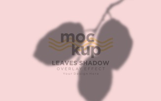 Leaves Shadow Overlay Effect Mockup 248
