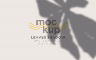 Leaves Shadow Overlay Effect Mockup 250