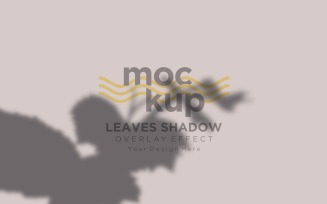 Leaves Shadow Overlay Effect Mockup 251