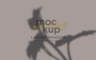 Leaves Shadow Overlay Effect Mockup 252