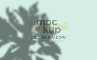 Leaves Shadow Overlay Effect Mockup 255