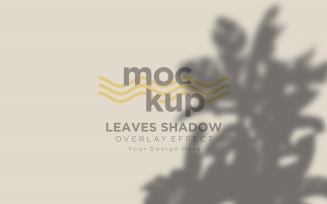 Leaves Shadow Overlay Effect Mockup 256