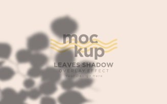 Leaves Shadow Overlay Effect Mockup 259