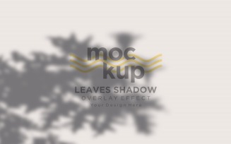 Leaves Shadow Overlay Effect Mockup 260
