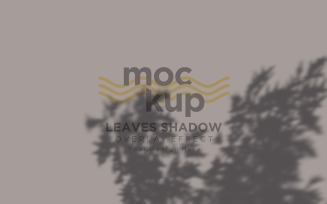 Leaves Shadow Overlay Effect Mockup 262