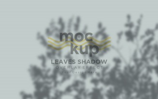 Leaves Shadow Overlay Effect Mockup 263