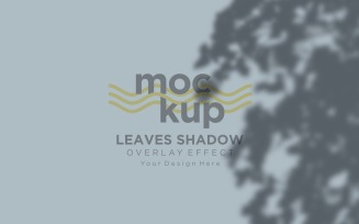 Leaves Shadow Overlay Effect Mockup 264