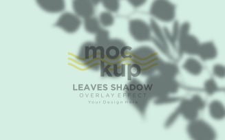 Leaves Shadow Overlay Effect Mockup 265