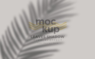 Leaves Shadow Overlay Effect Mockup 267