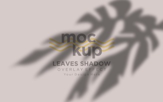 Leaves Shadow Overlay Effect Mockup 271