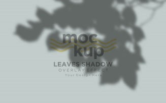 Leaves Shadow Overlay Effect Mockup 273