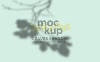 Leaves Shadow Overlay Effect Mockup 275