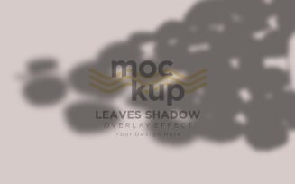 Leaves Shadow Overlay Effect Mockup 281