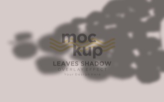 Leaves Shadow Overlay Effect Mockup 281