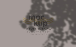 Leaves Shadow Overlay Effect Mockup 282