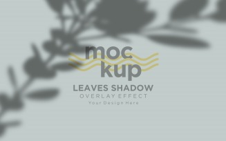 Leaves Shadow Overlay Effect Mockup 283