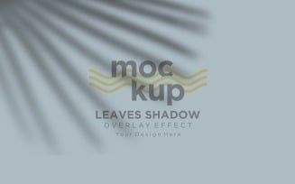 Leaves Shadow Overlay Effect Mockup 304