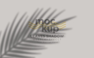 Leaves Shadow Overlay Effect Mockup 307