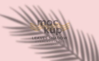 Leaves Shadow Overlay Effect Mockup 308