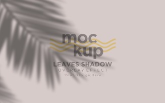 Leaves Shadow Overlay Effect Mockup 311