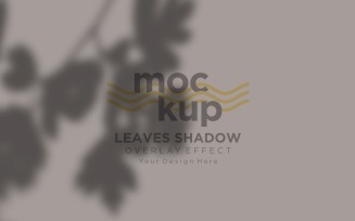 Leaves Shadow Overlay Effect Mockup 312