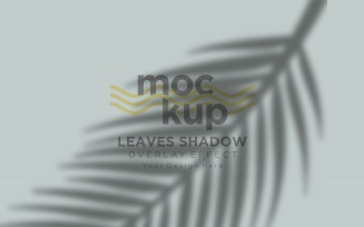 Leaves Shadow Overlay Effect Mockup 313