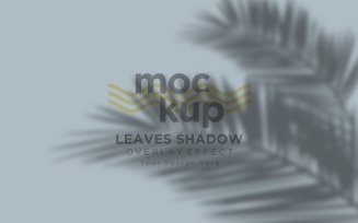 Leaves Shadow Overlay Effect Mockup 314