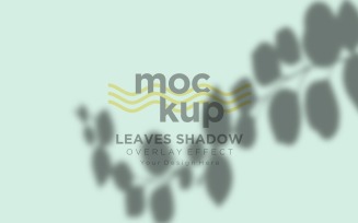 Leaves Shadow Overlay Effect Mockup 315