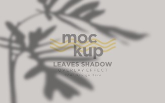 Leaves Shadow Overlay Effect Mockup 317